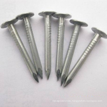 wholesale Clout Nails round head roofing nail made in china